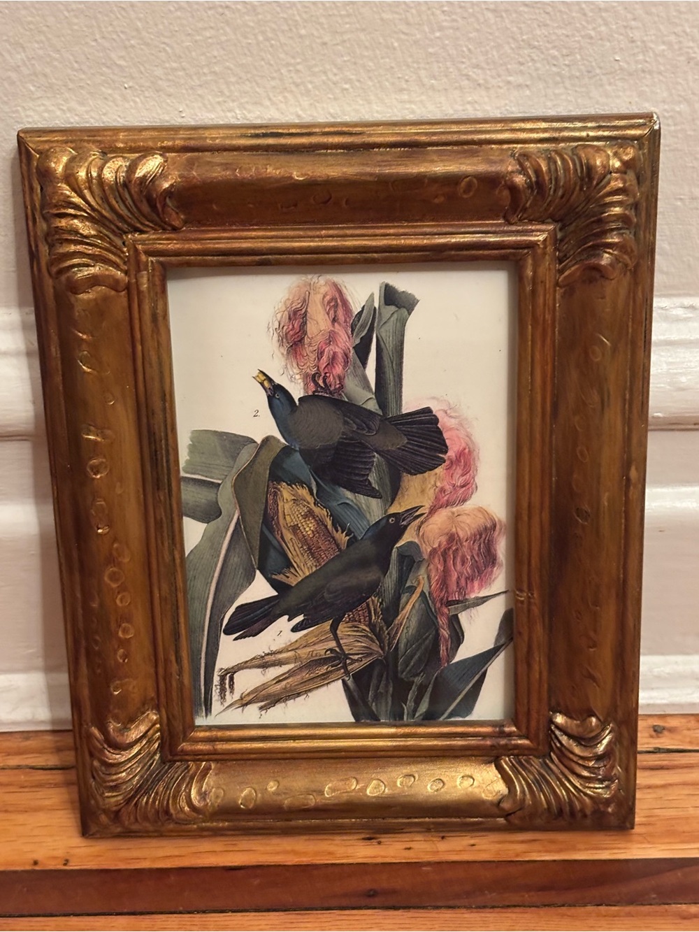 Gold Ornate Framed Botanical Bird Print - Home Accents